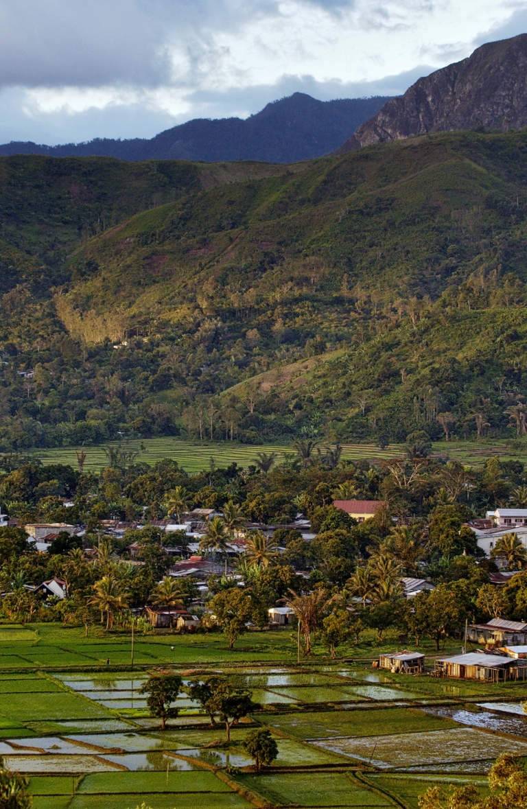 V MAD45 cuvette Andapa YA Kika